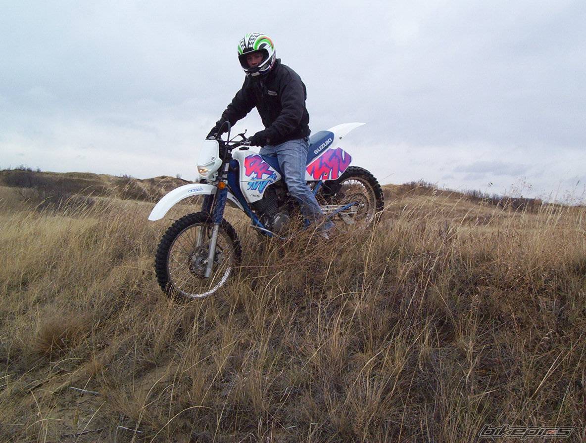 Photo 230862