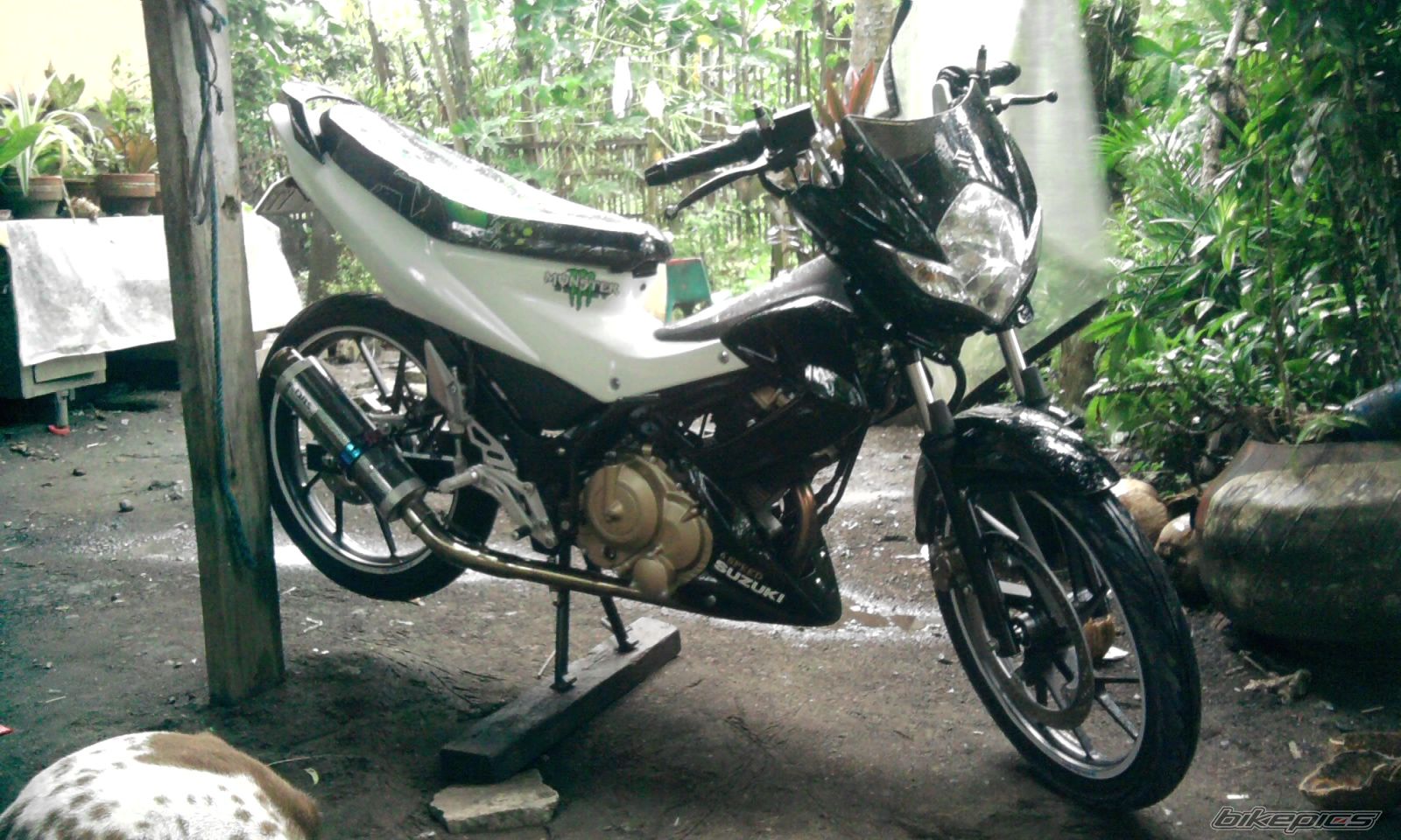 Bike Photo 2308682