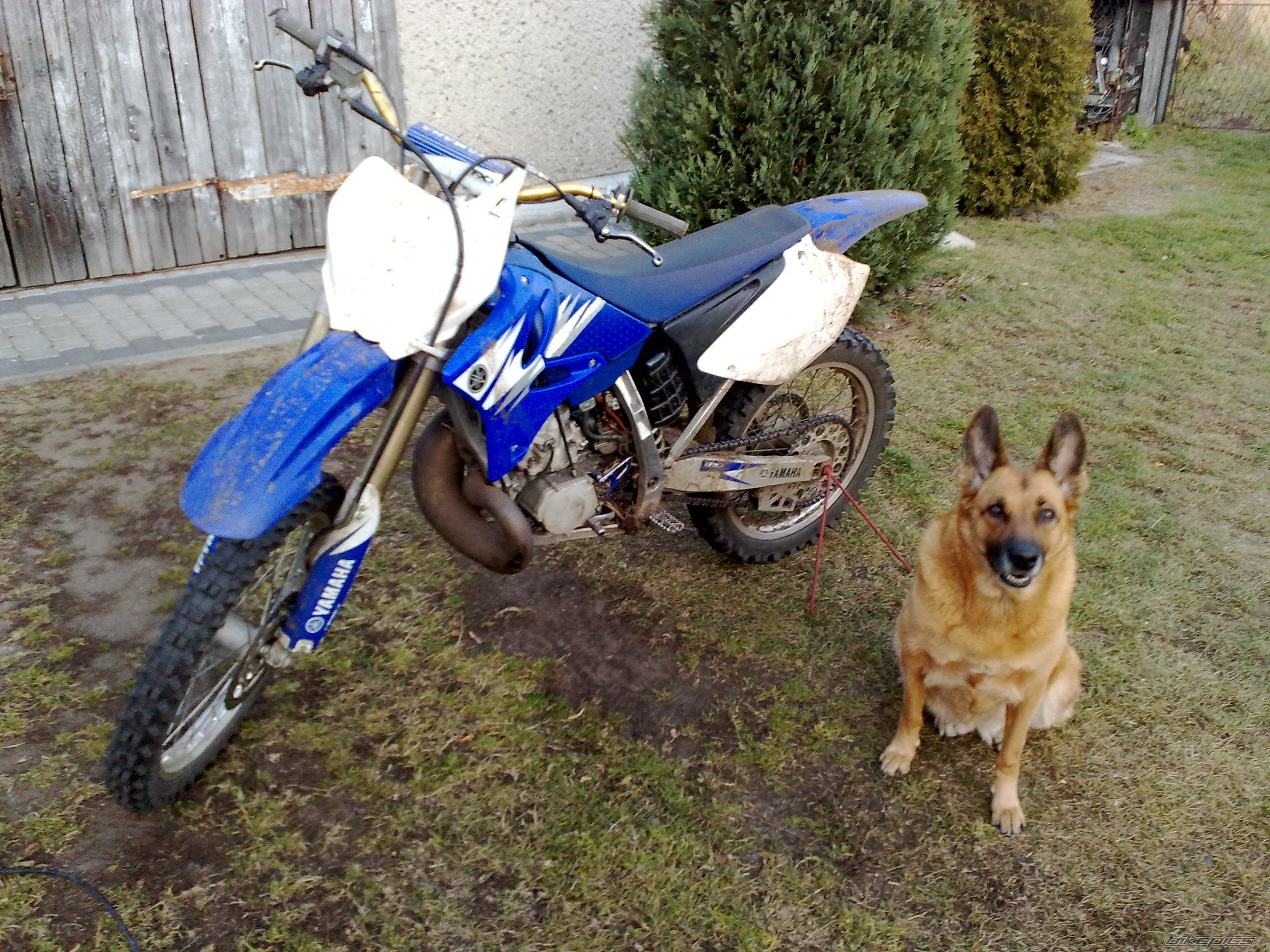 Photo 2308698