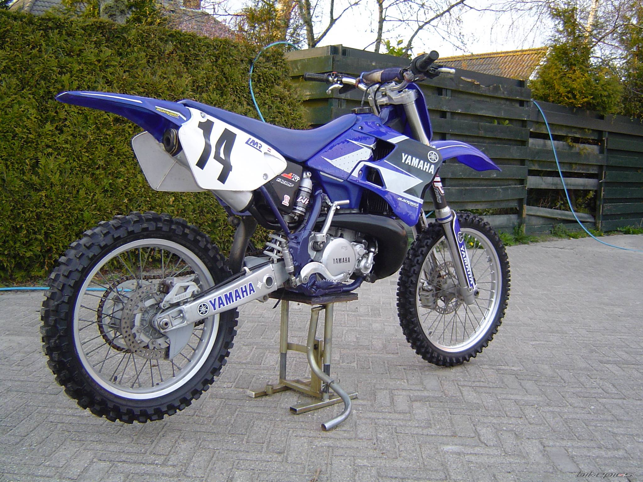 Photo 230871