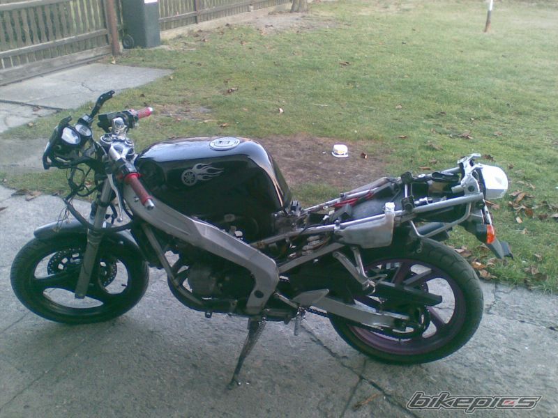 Photo 2308788