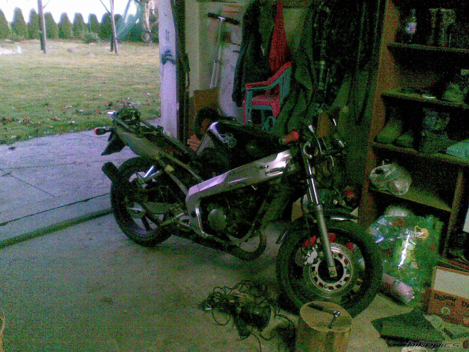 Photo 2308792