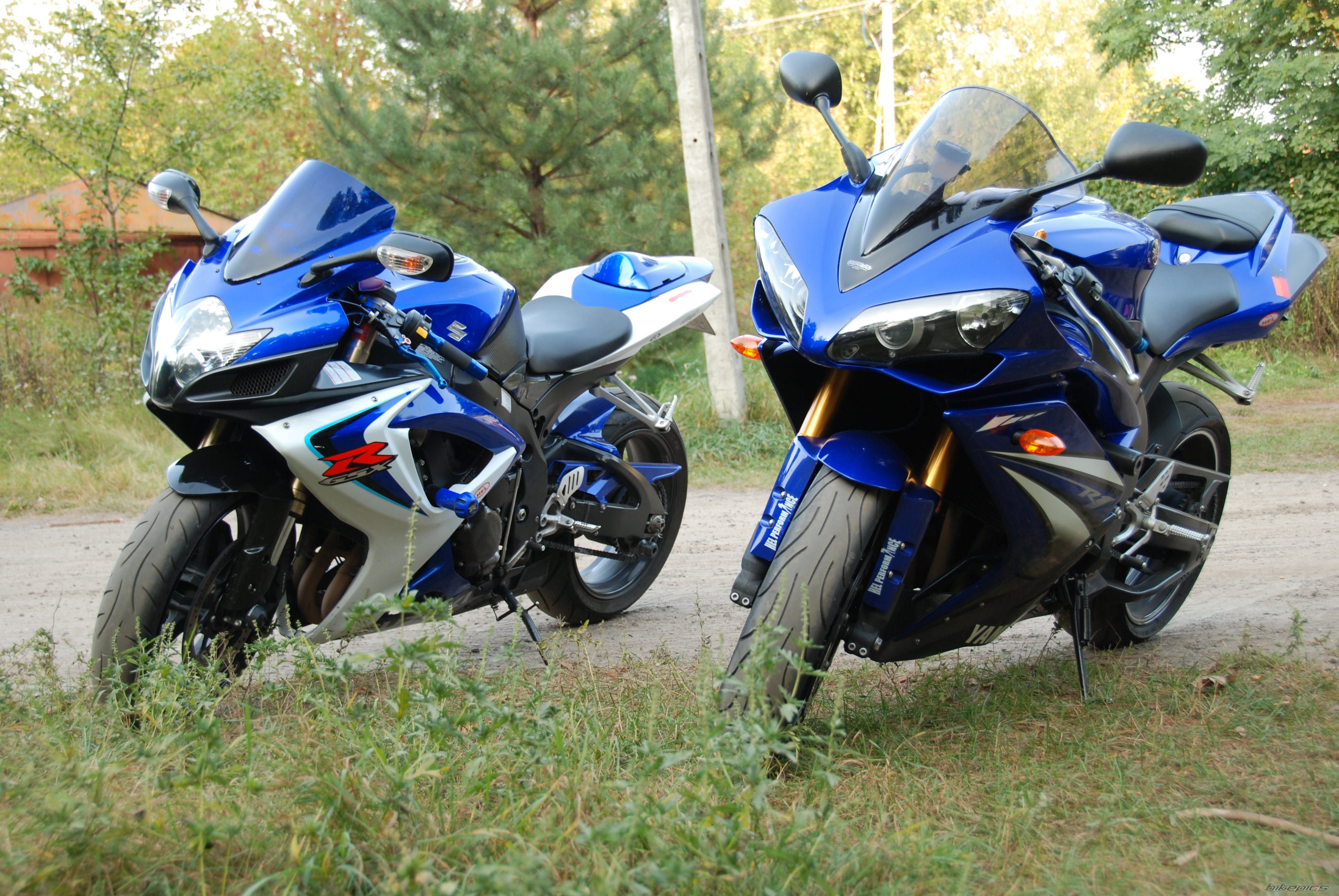 Photo 2308796