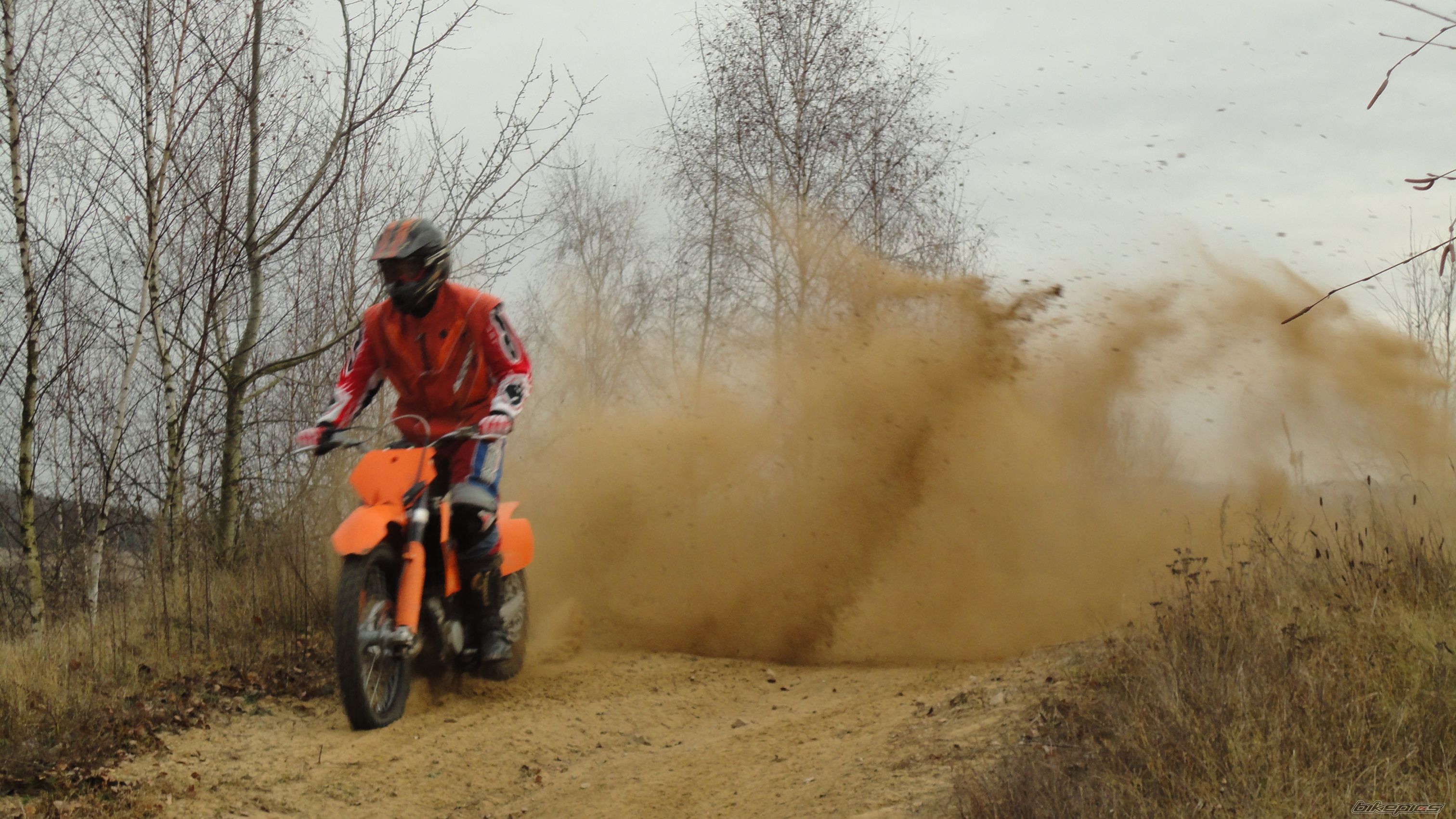 Photo 2308967