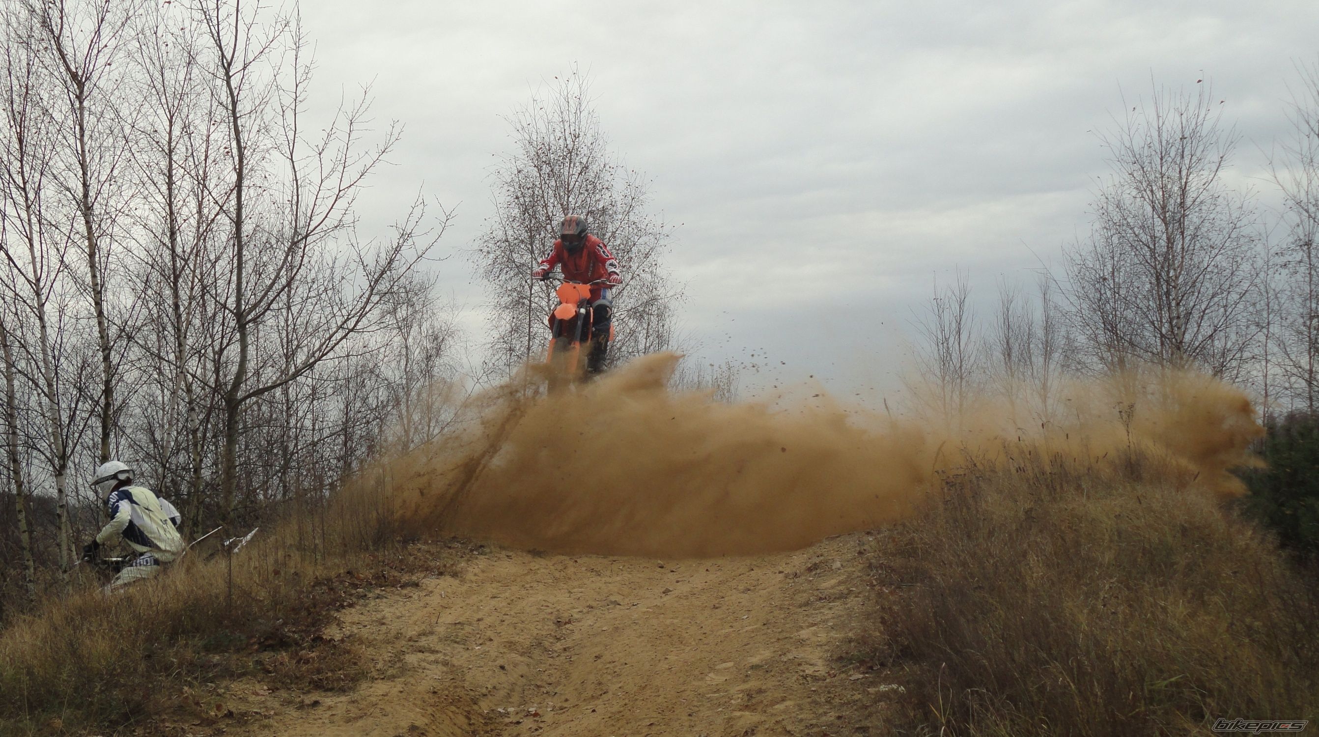 Photo 2308975