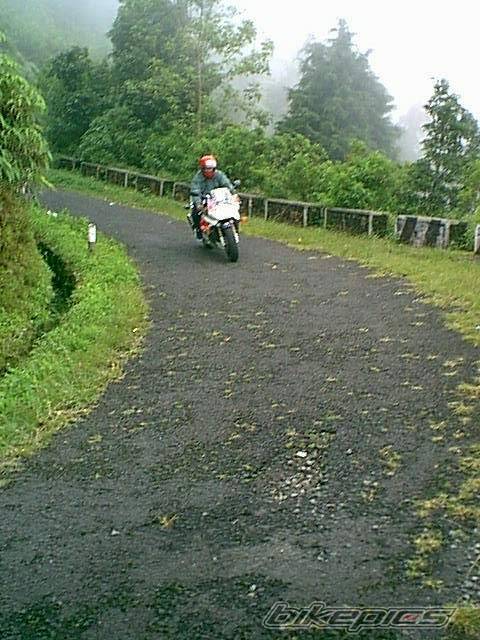 Photo 23094