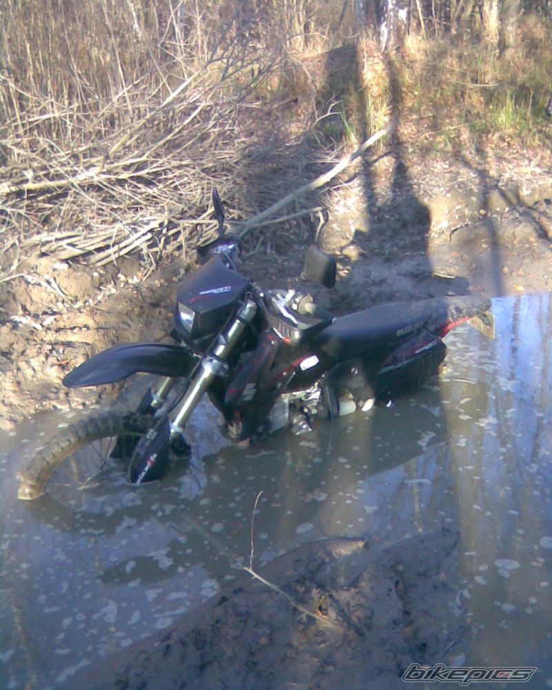 Photo 2309429