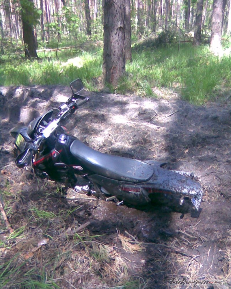 Photo 2309430