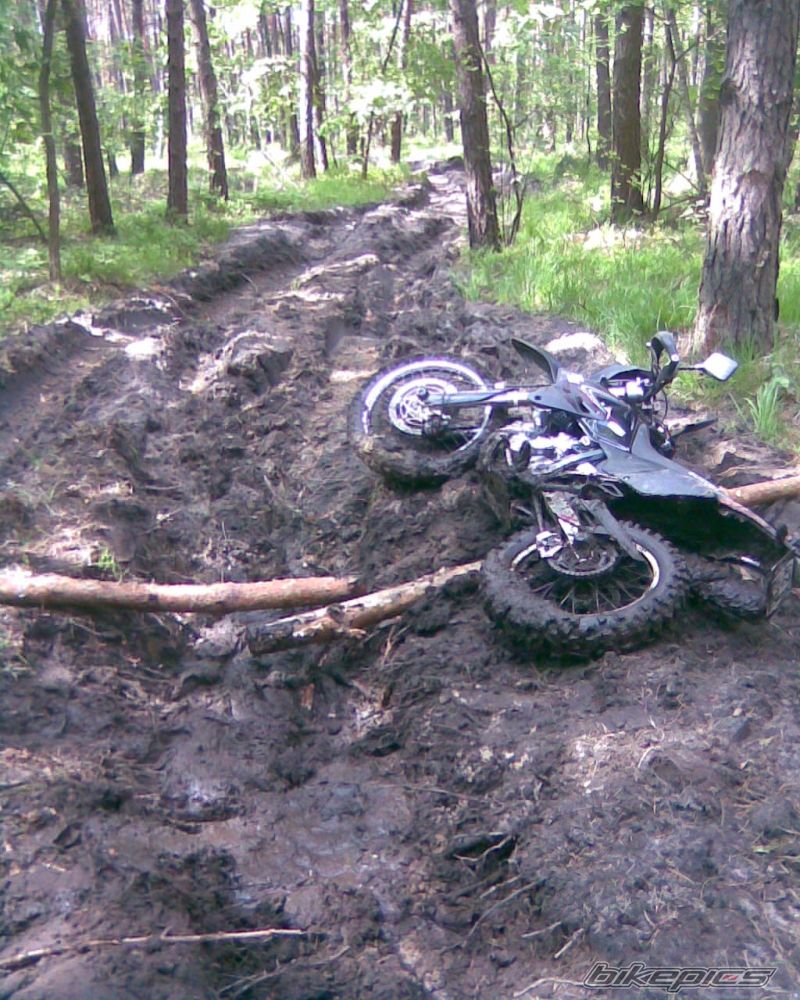 Photo 2309431