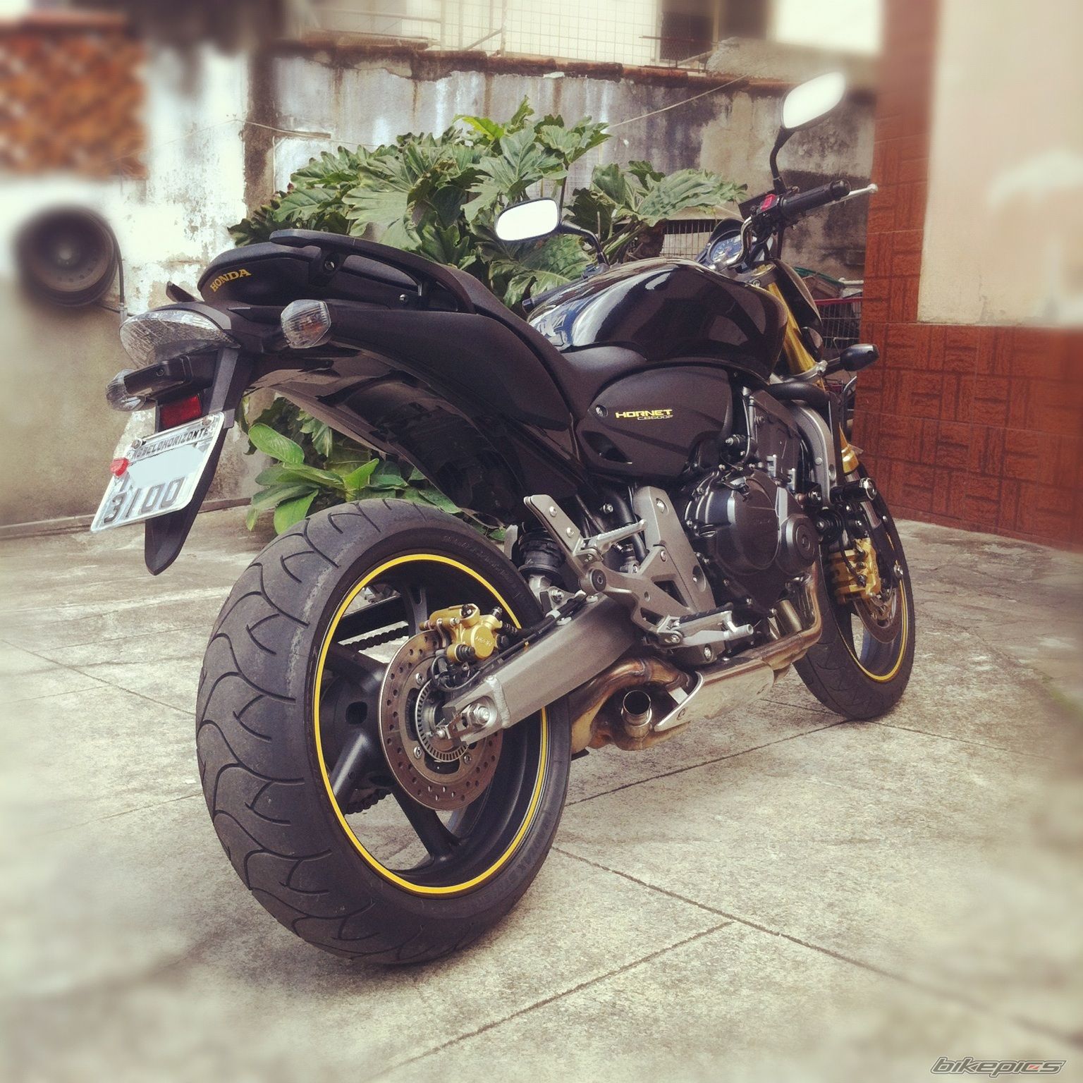 Photo 2309441