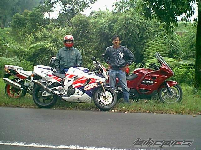 Photo 23096