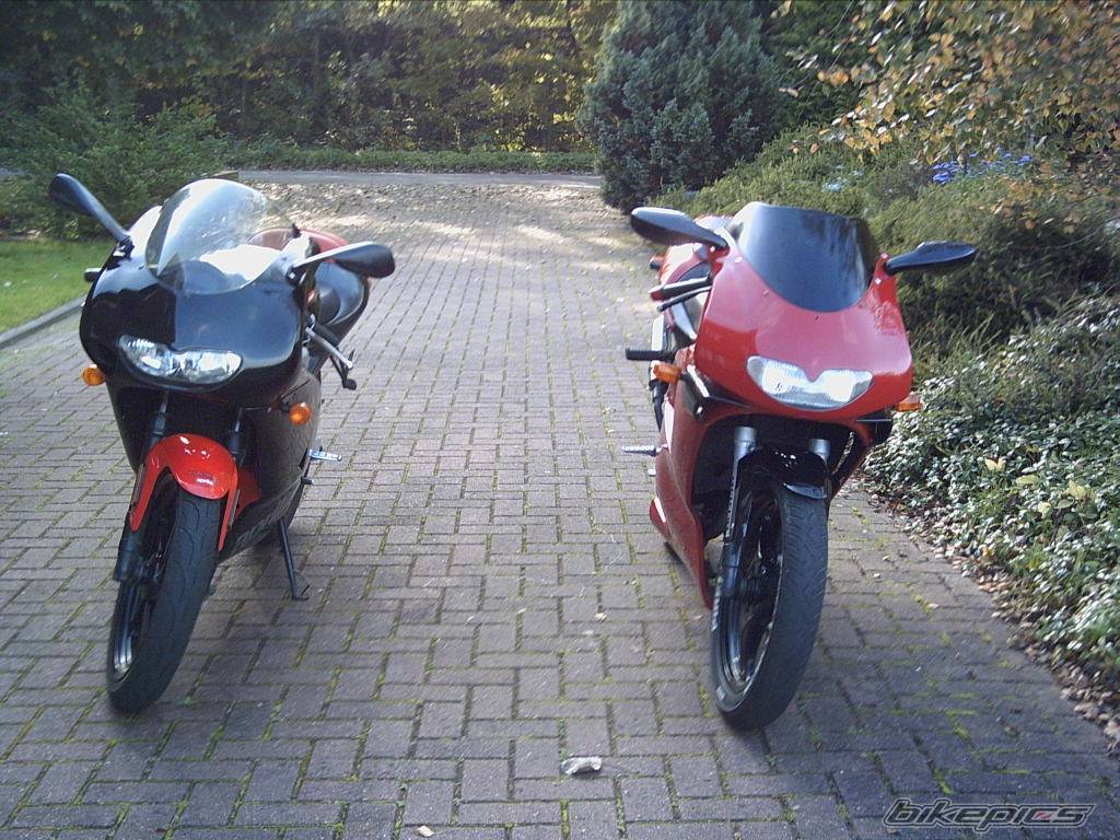 Photo 230960