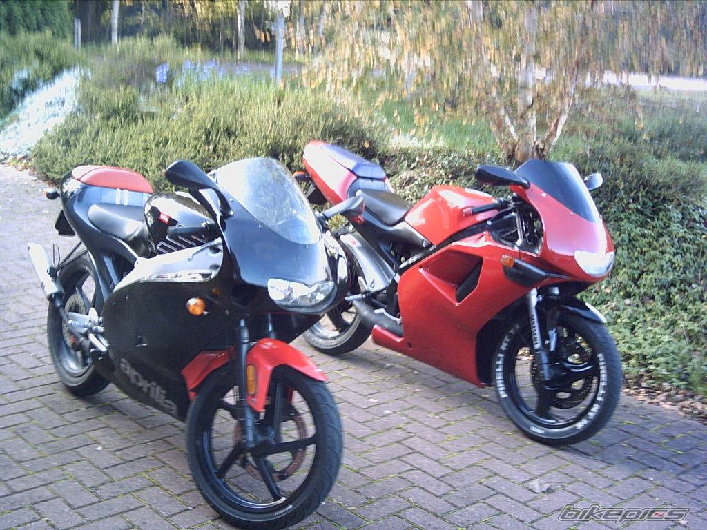 Photo 230962
