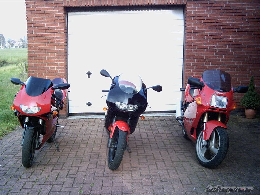 Photo 230966