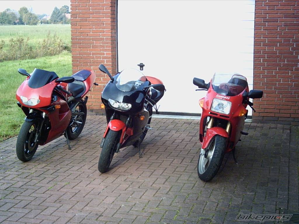 Photo 230969