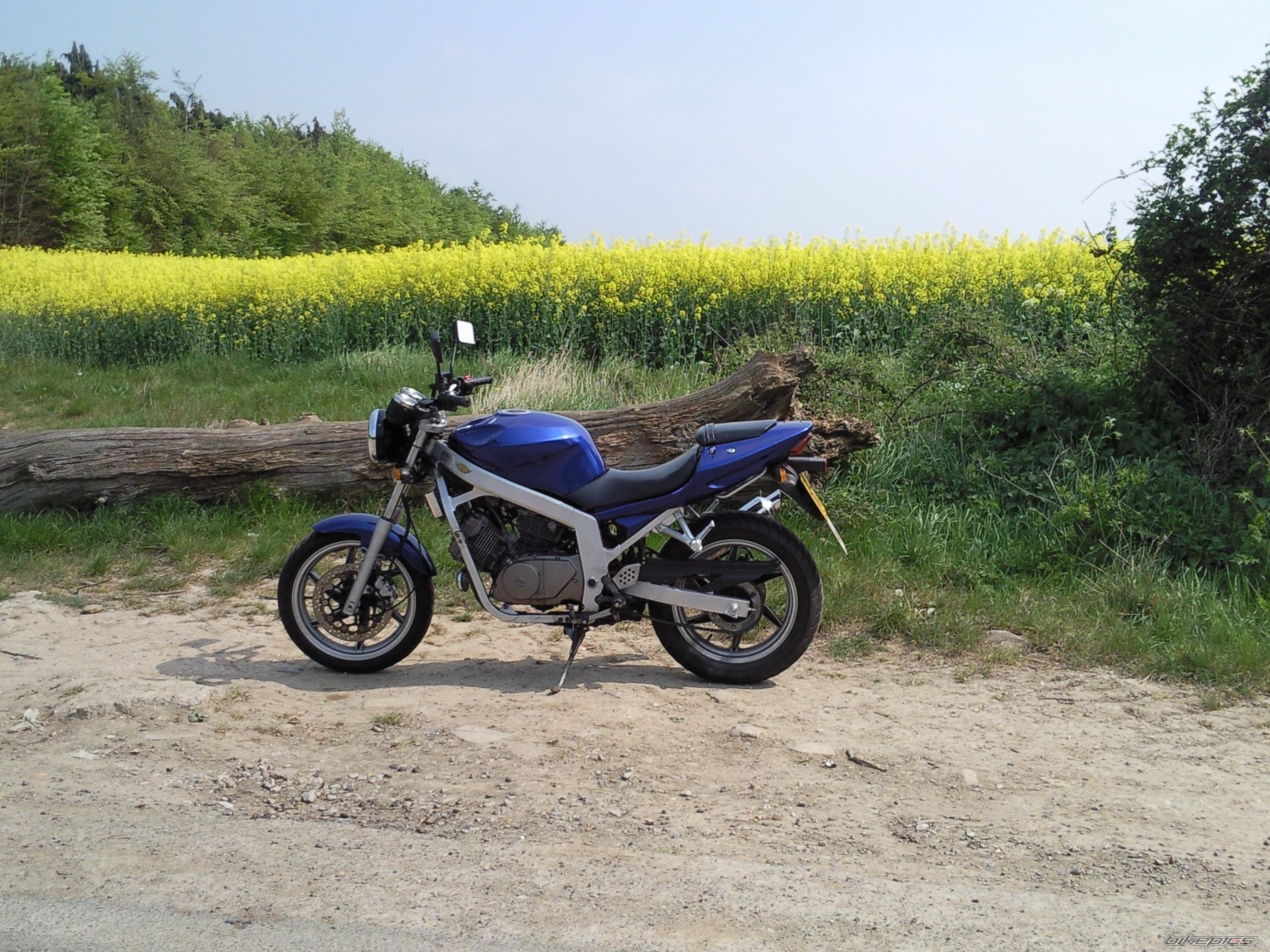 Photo 2309778