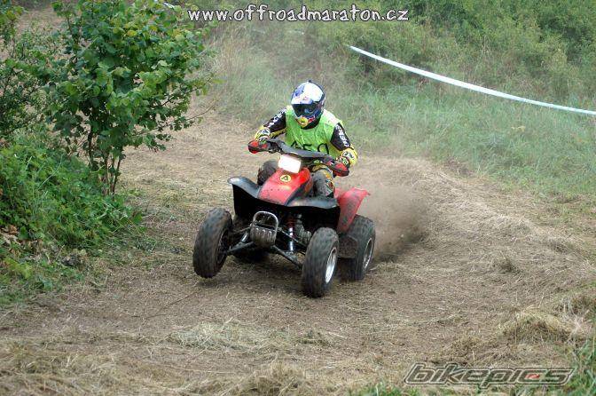 Photo 230985