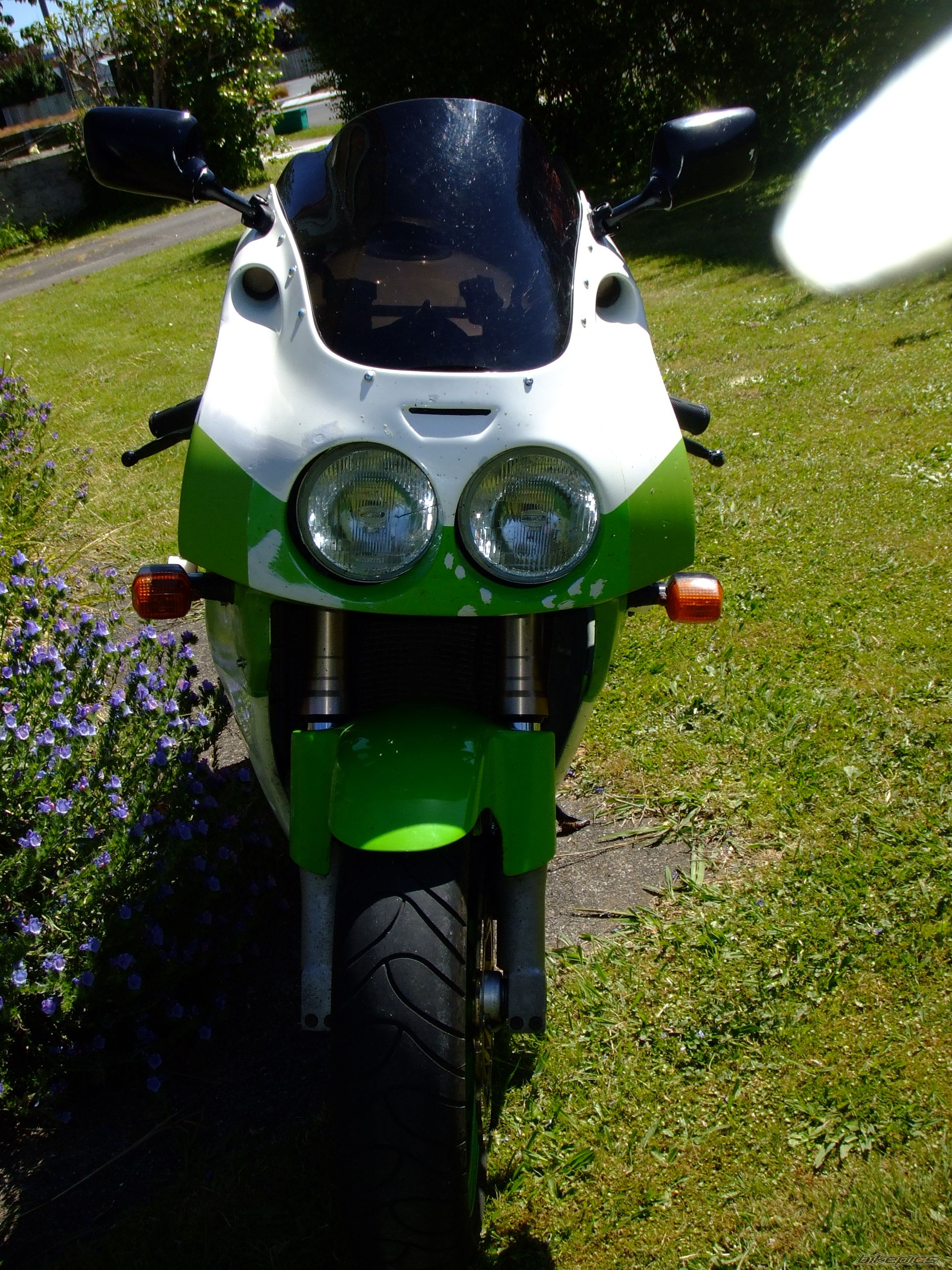 Photo 2309866