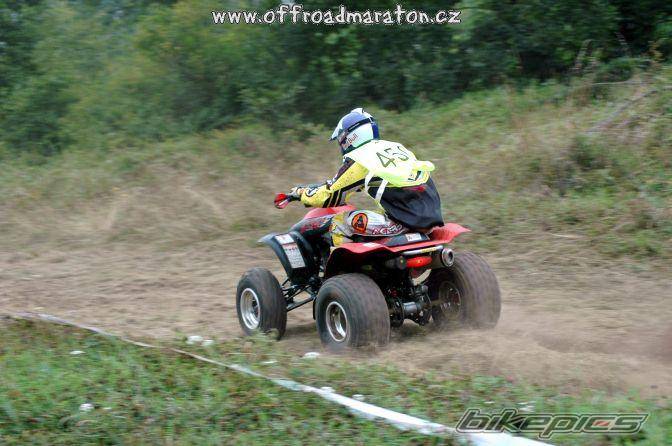 Photo 230987