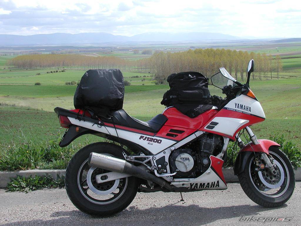 Photo 230992
