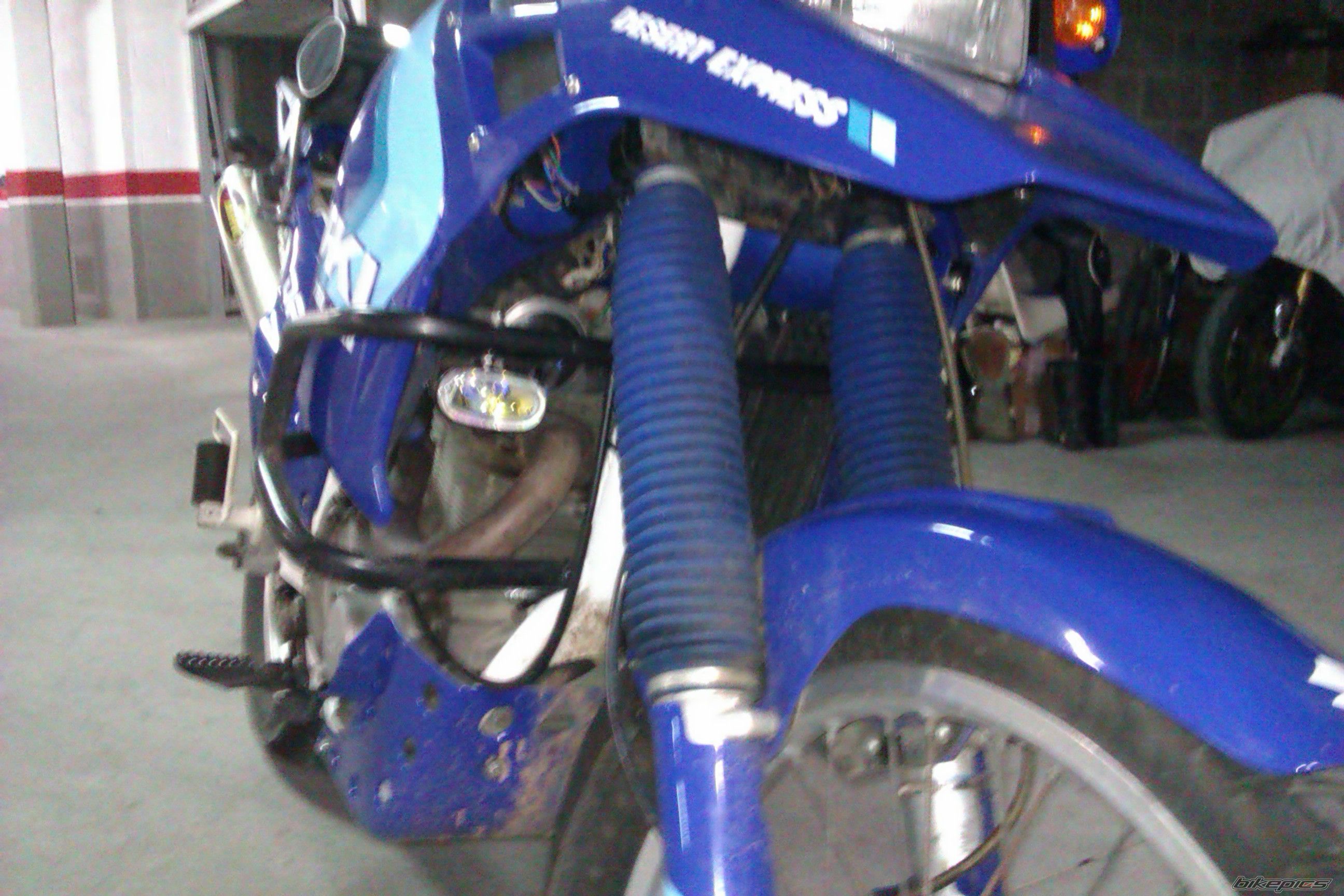 Photo 2309935