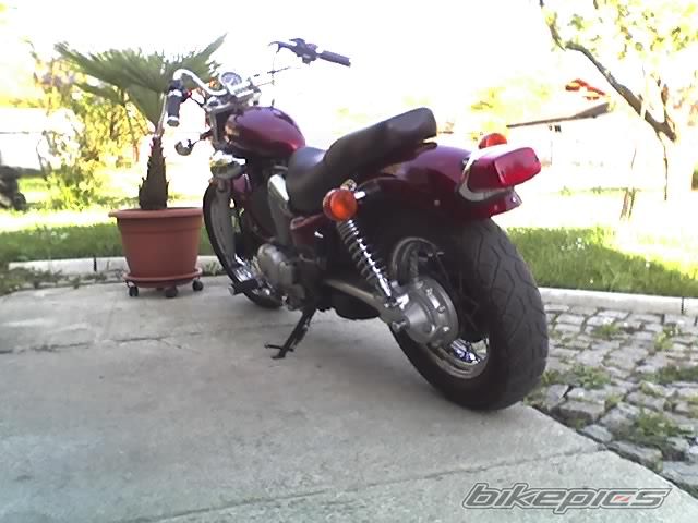 Photo 2309953