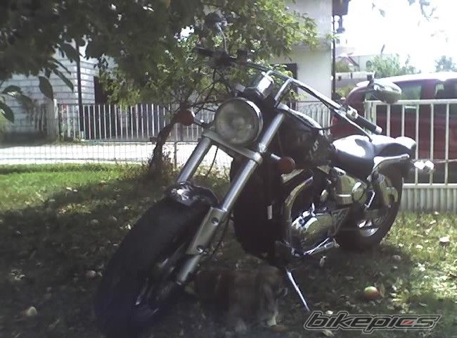Photo 2309980