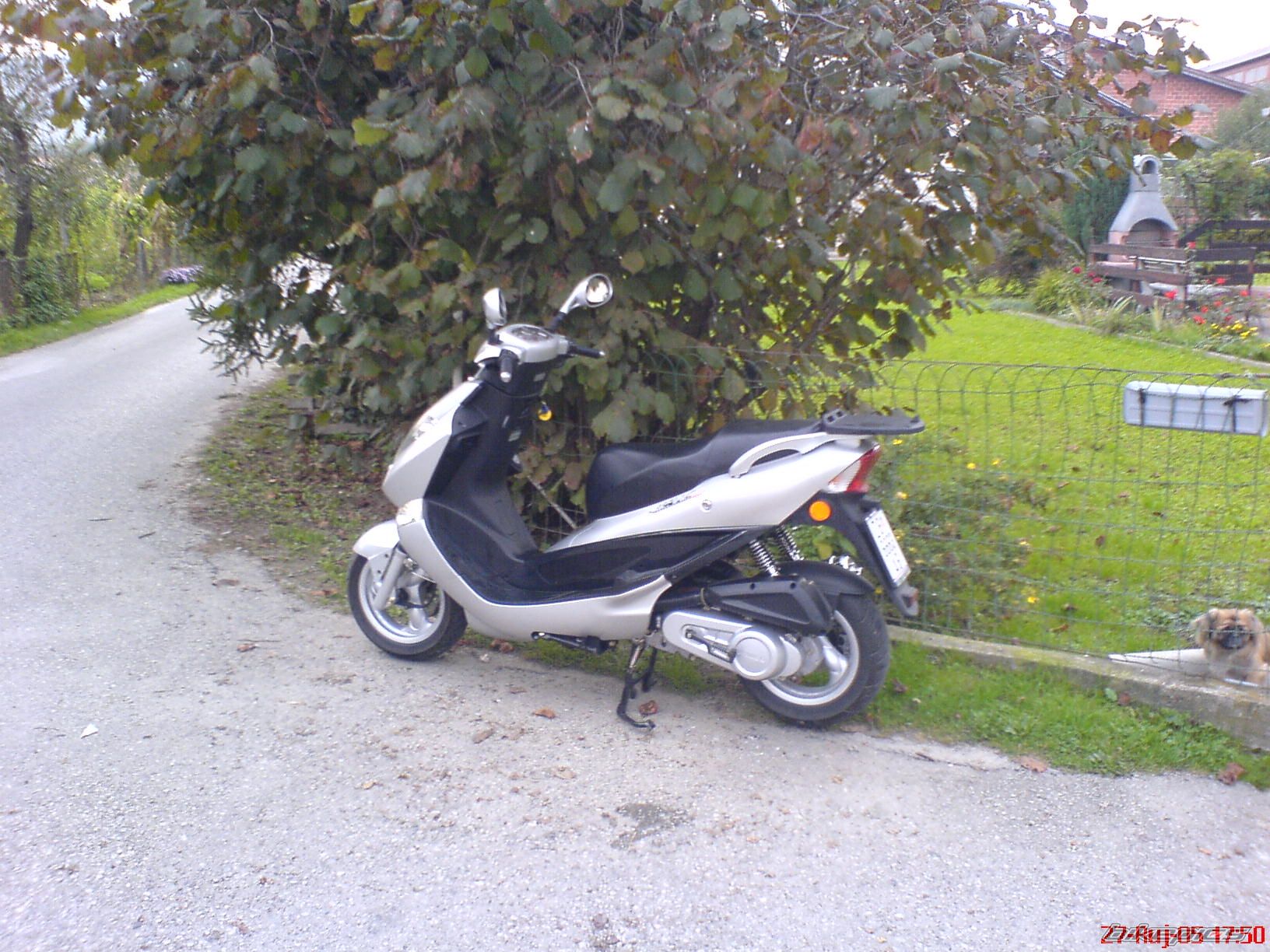 Photo 2310013