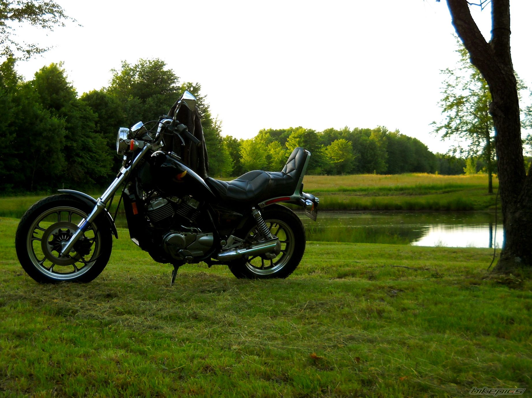 Photo 2310064