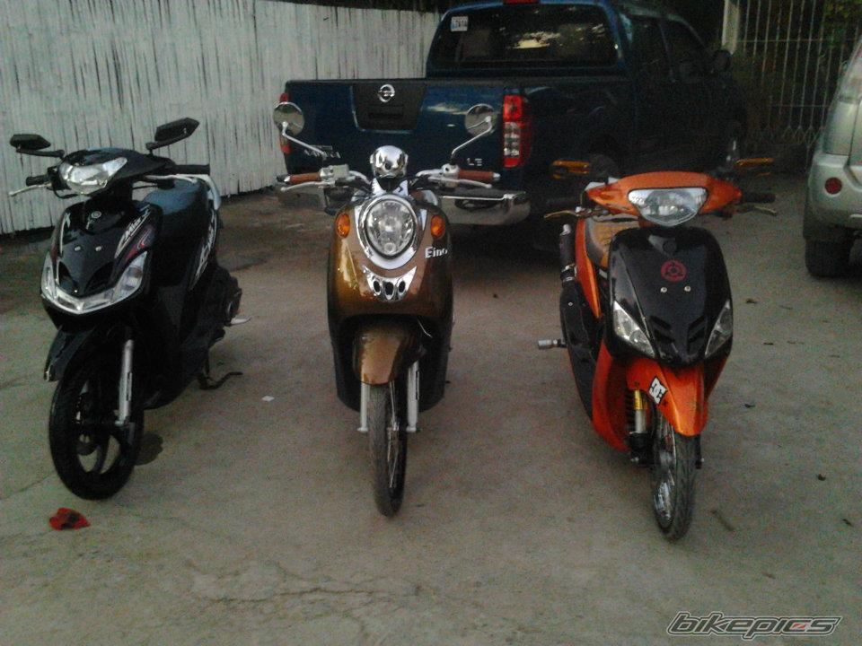 Photo 2310118