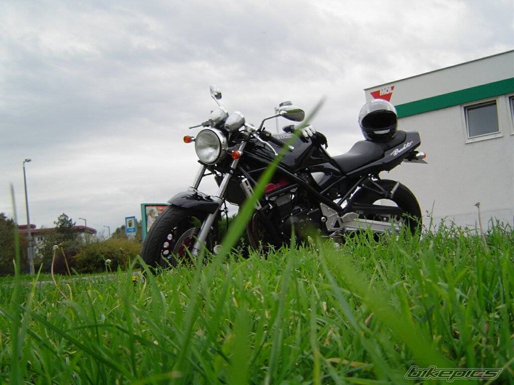 Photo 231016