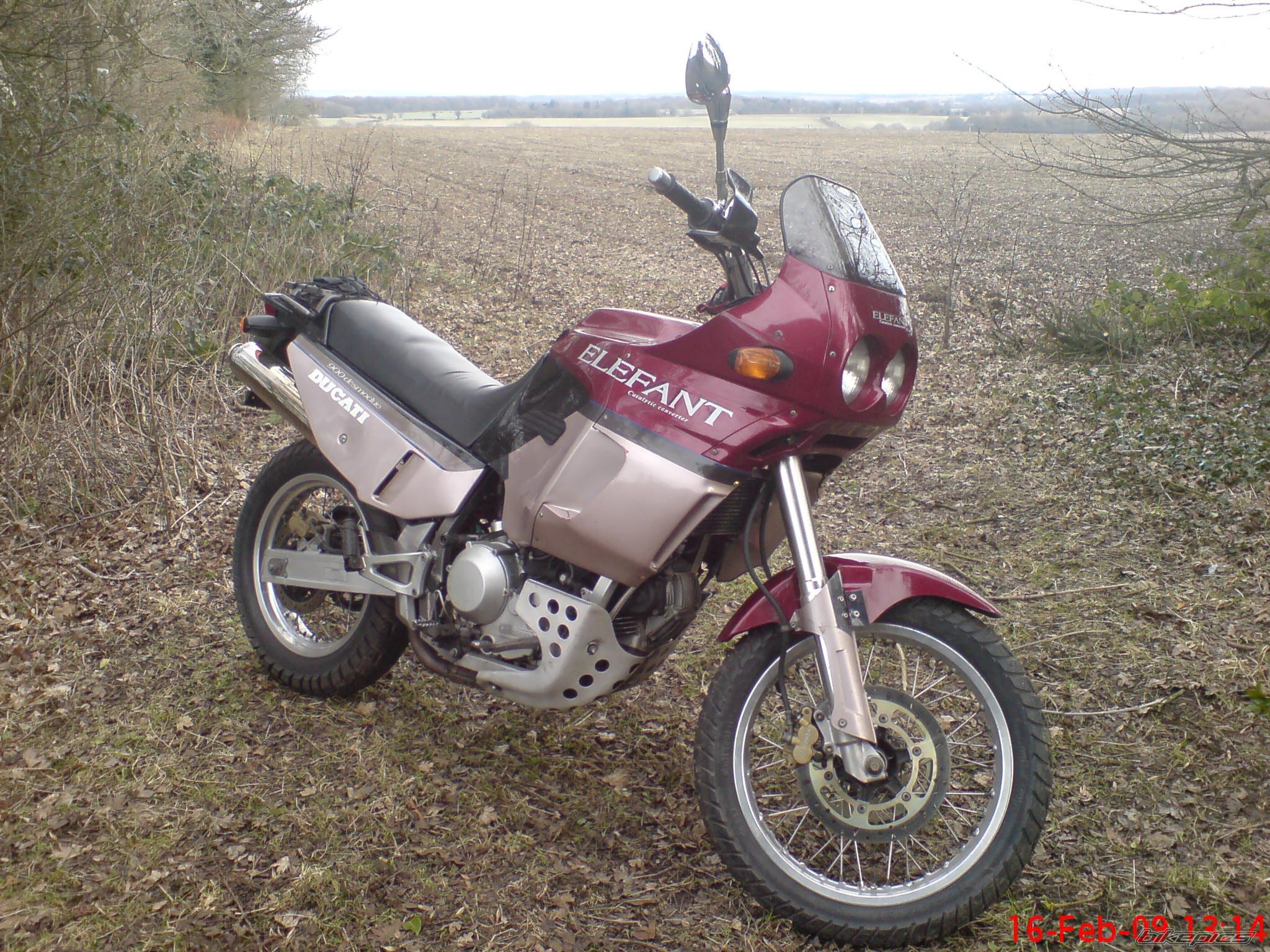 Photo 2310329