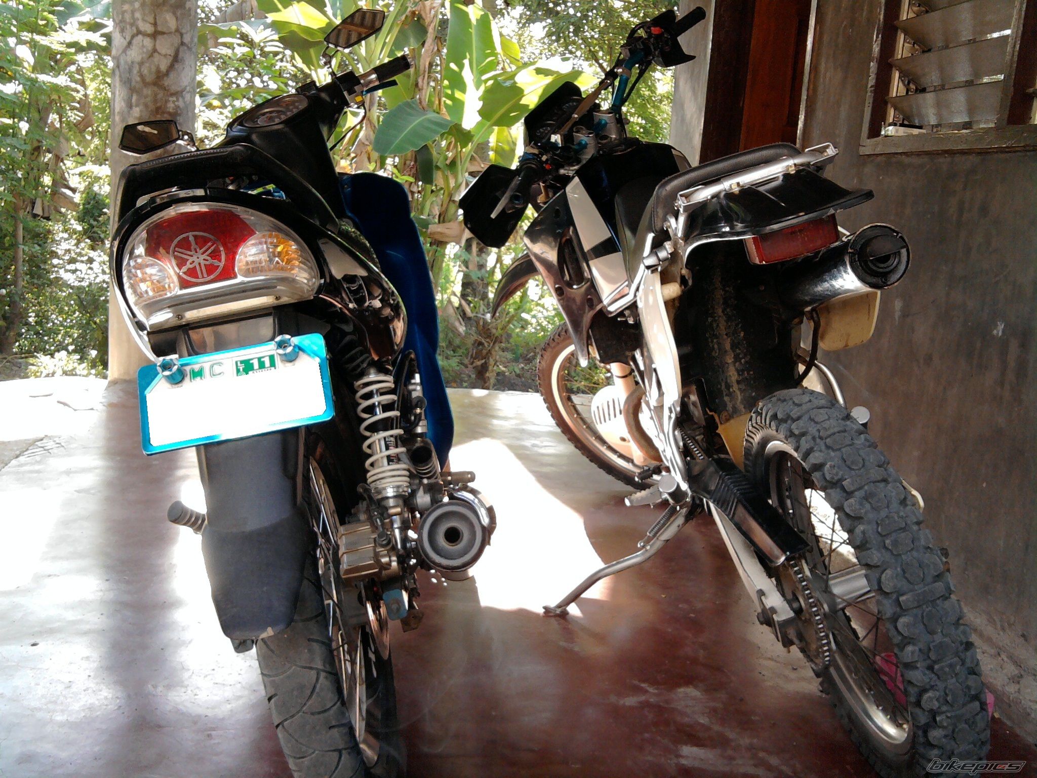 Photo 2310382
