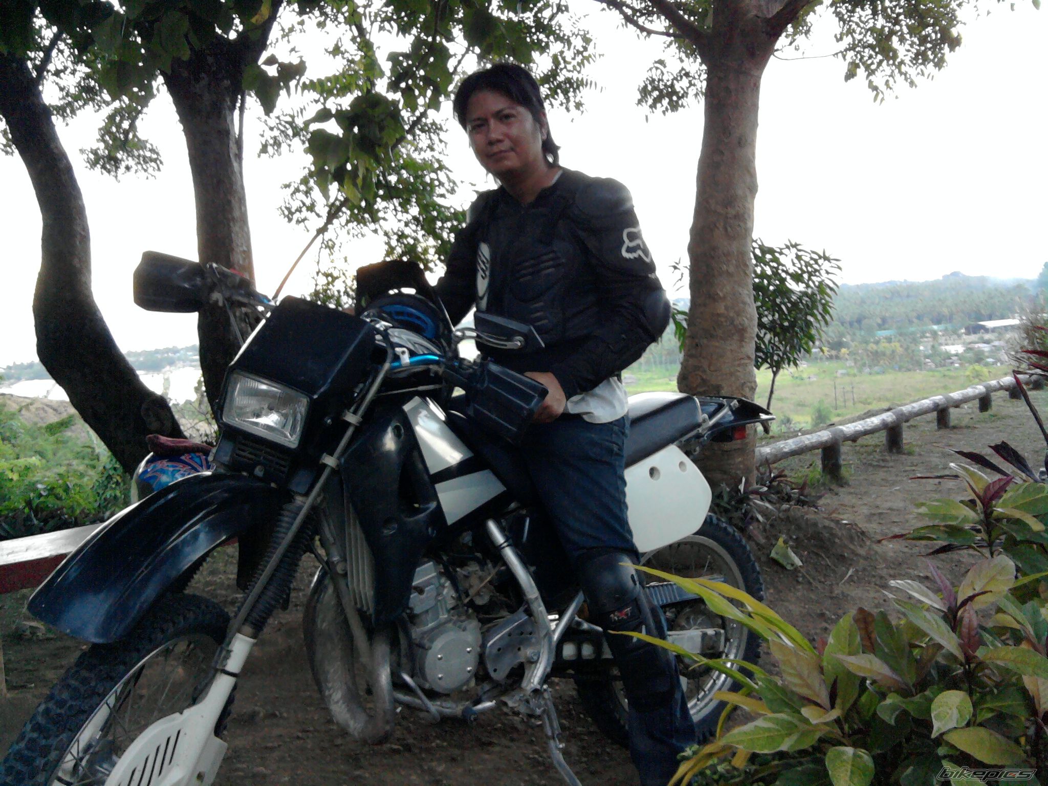 Photo 2310415