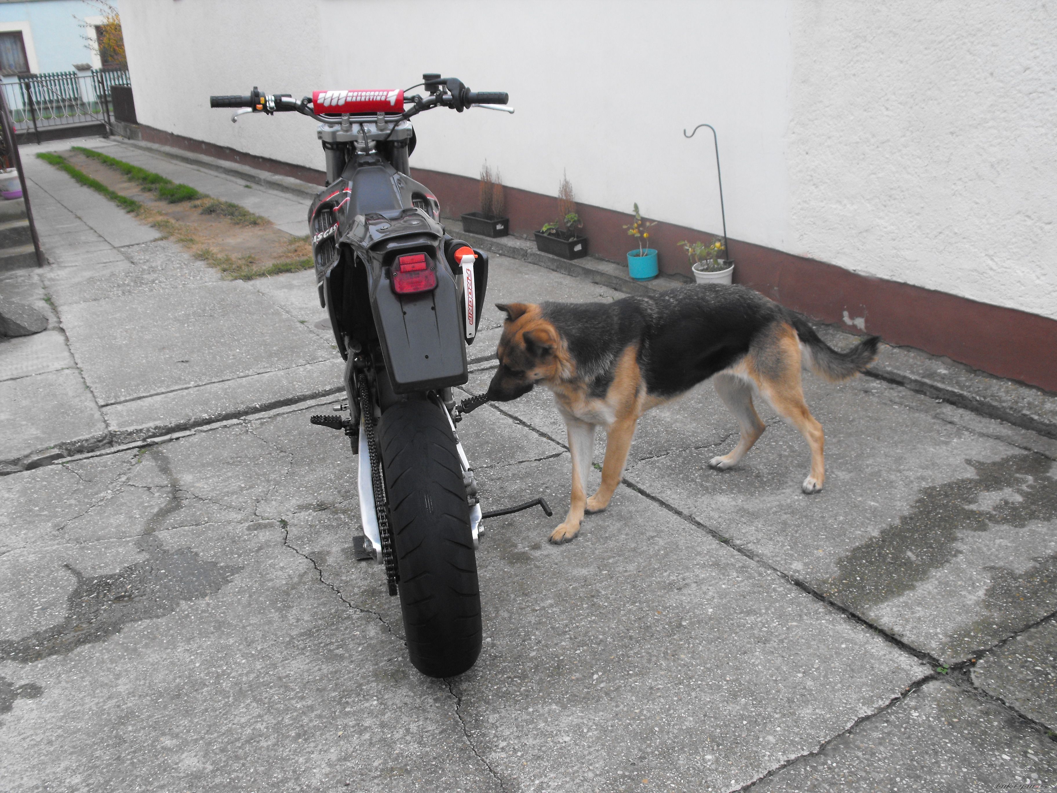 Photo 2310491