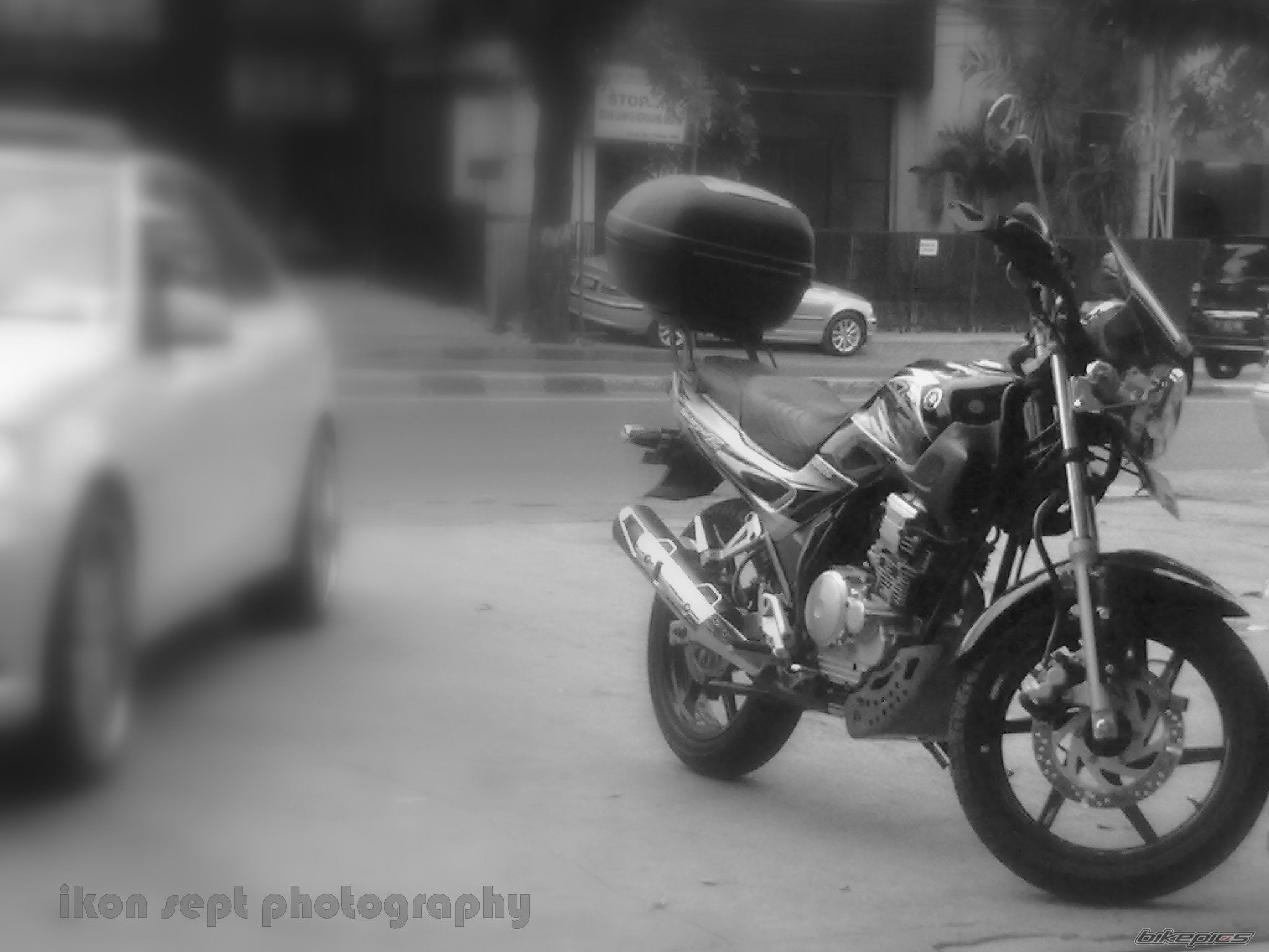 Photo 2310497