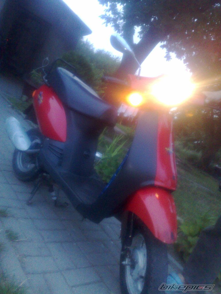 Photo 2310664