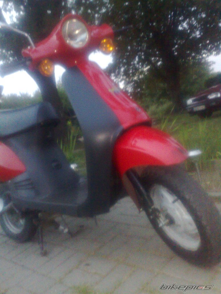 Photo 2310665