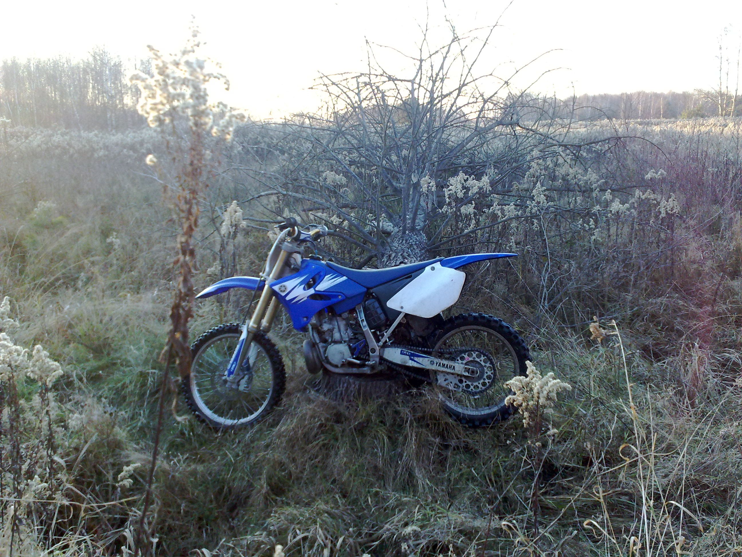 Photo 2310687
