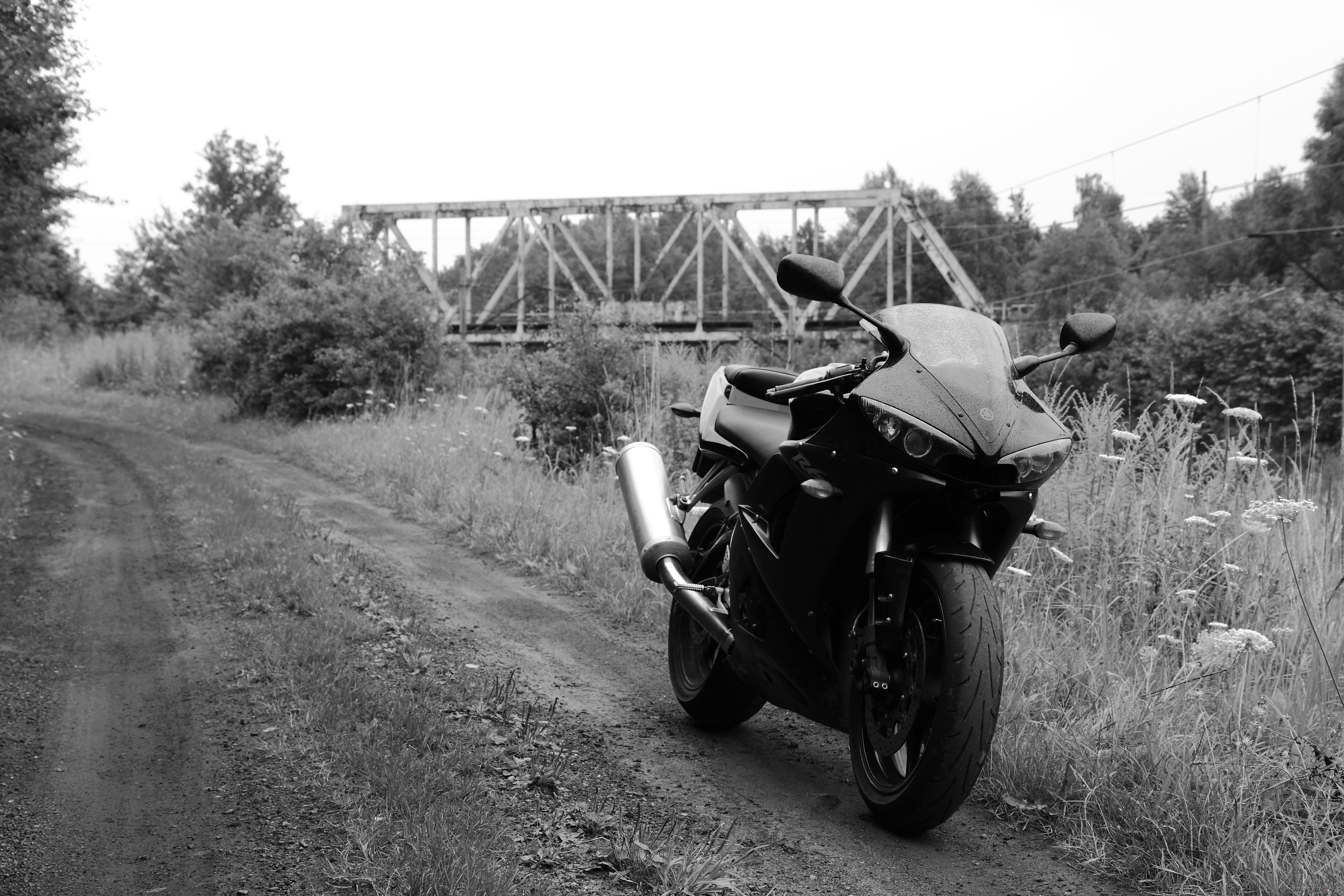 Photo 2310972