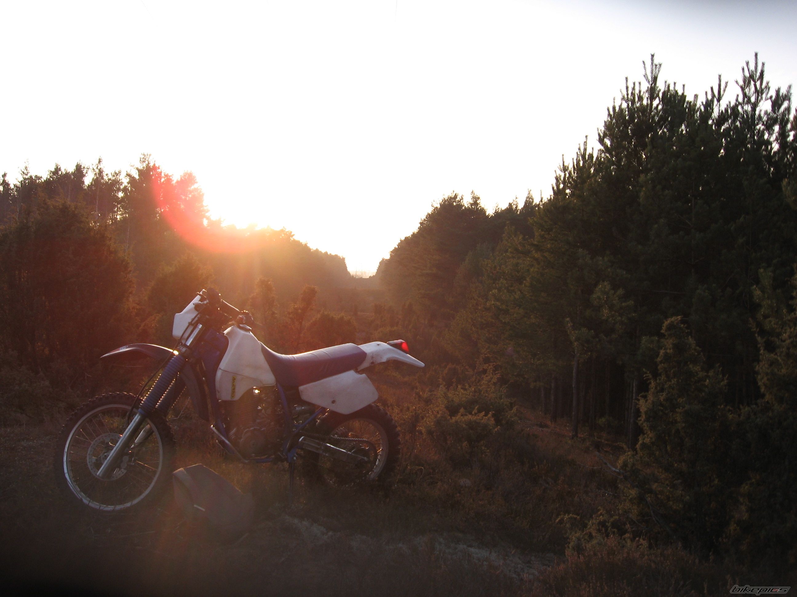 Bike Photo 2311088