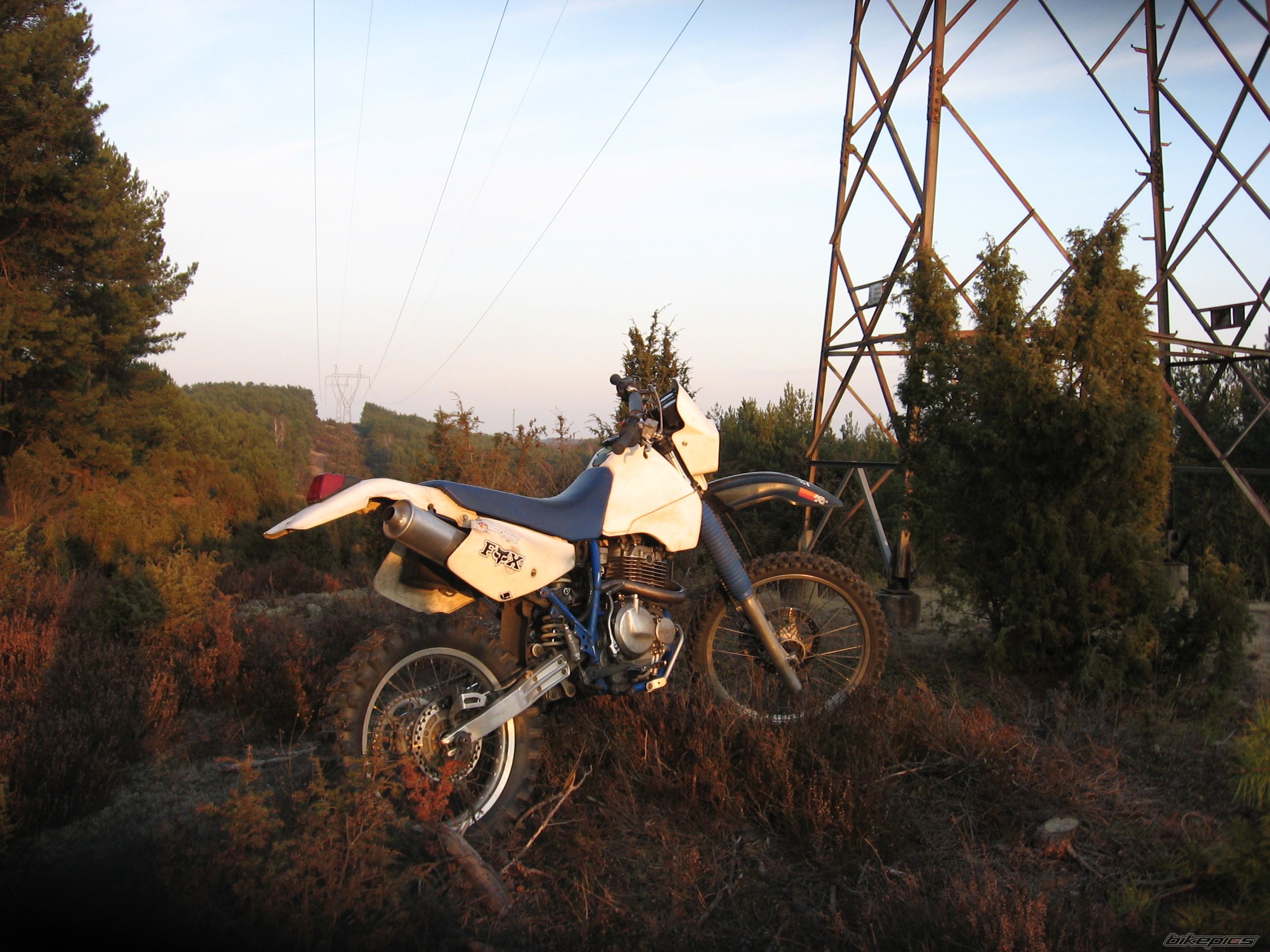 Bike Photo 2311089