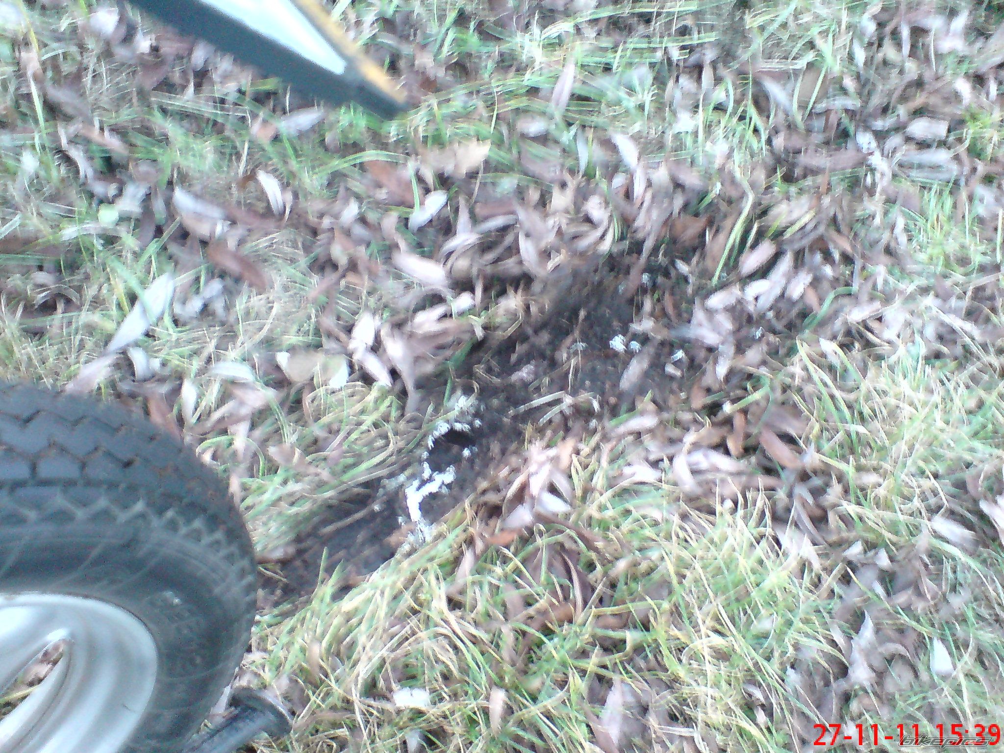 Photo 2311114