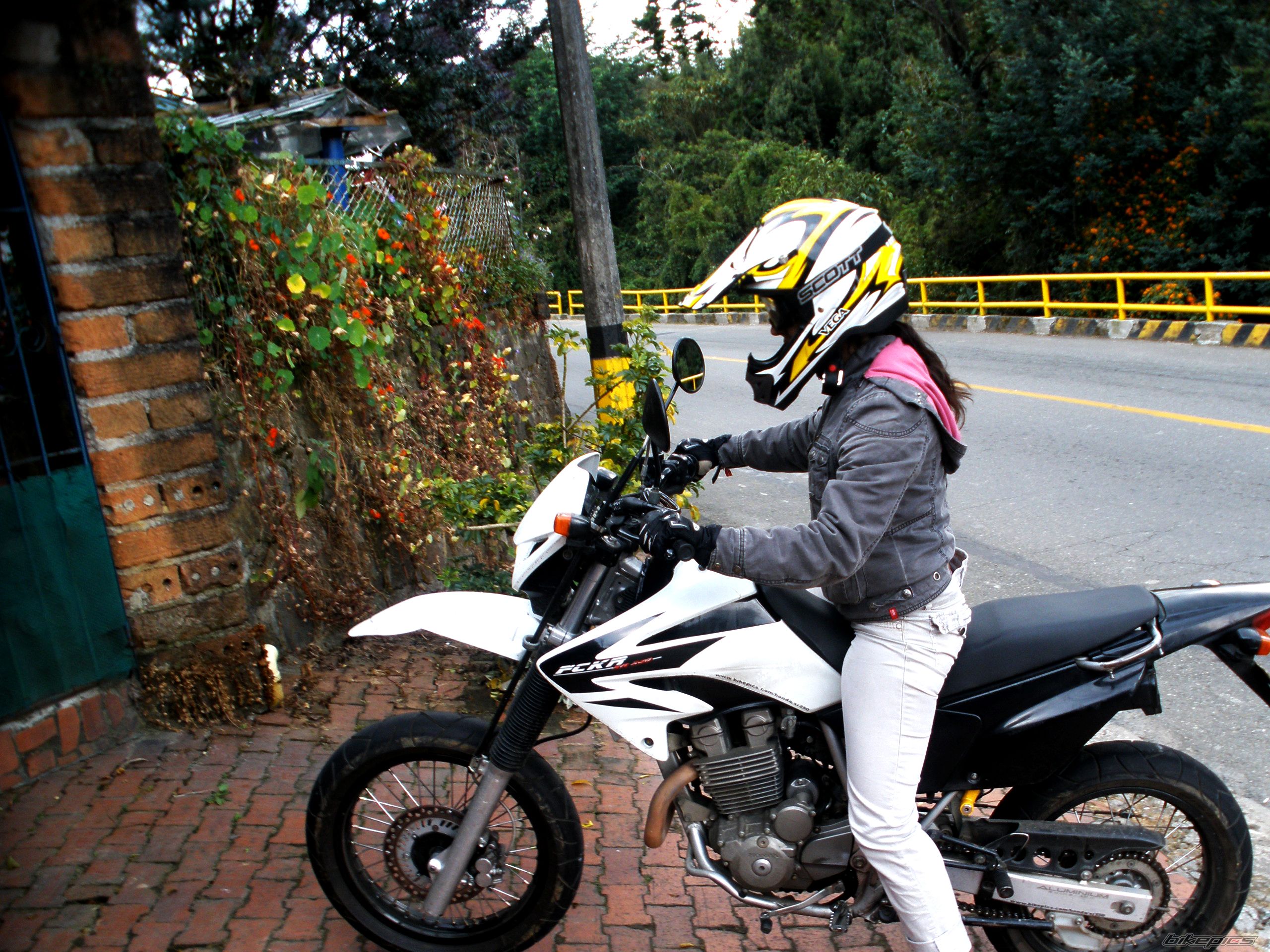 Photo 2311243