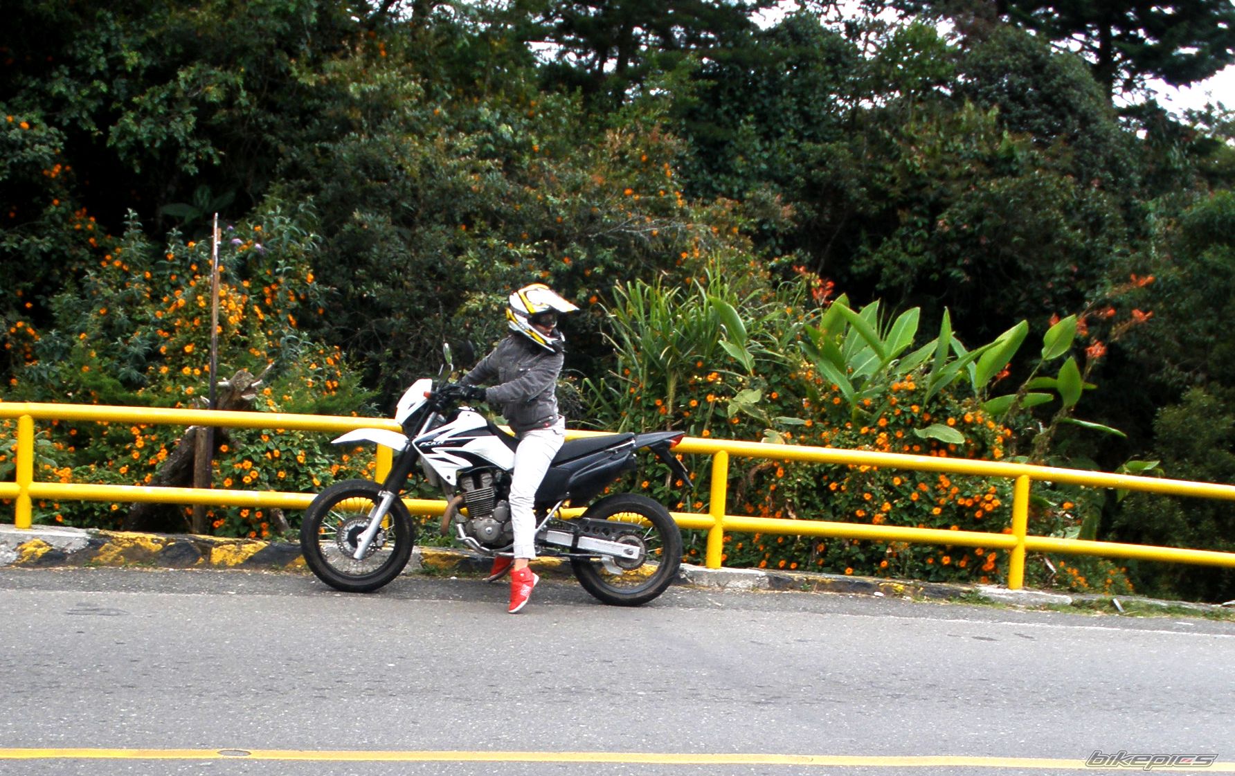 Bike Photo 2311247