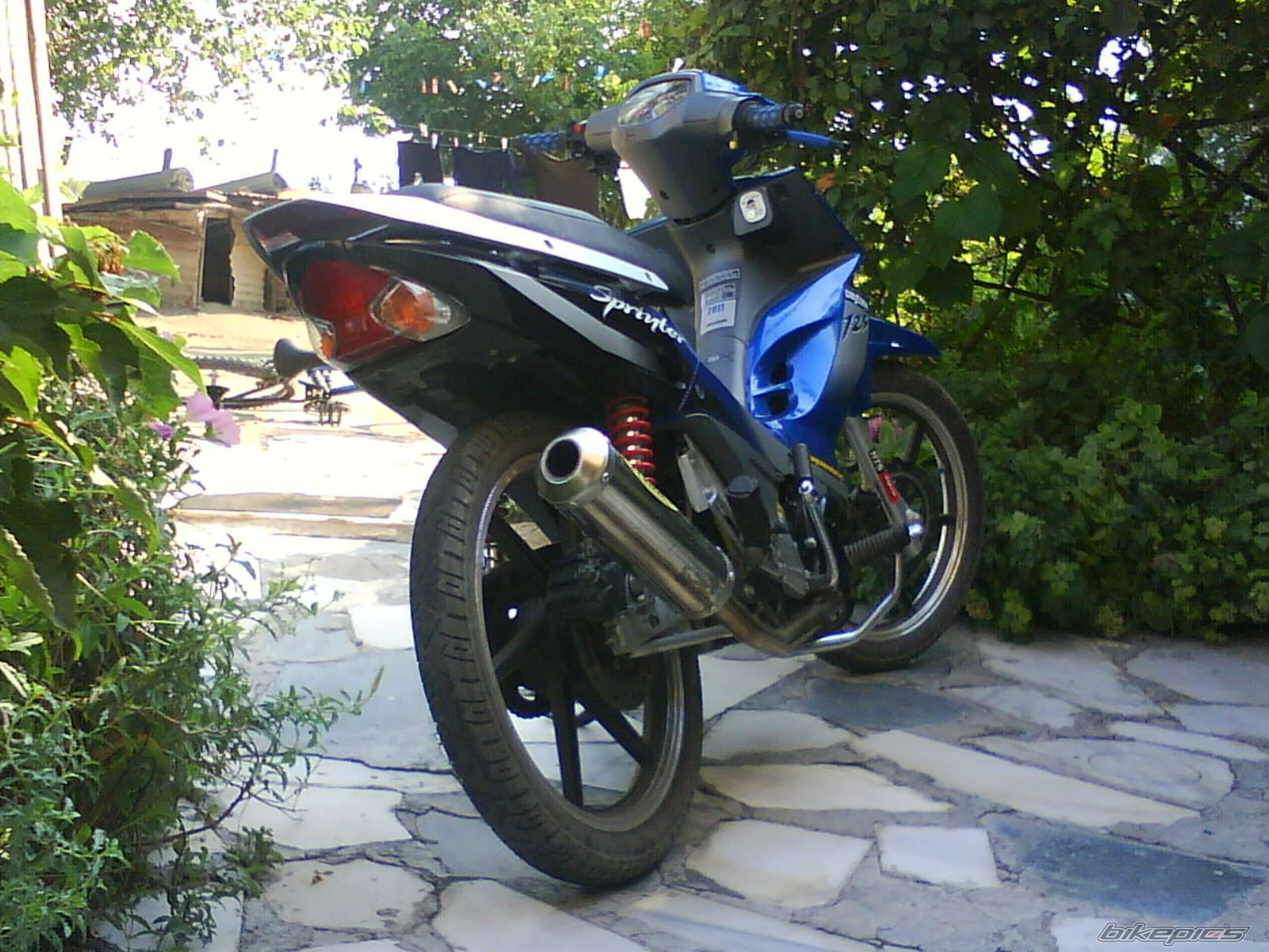 Photo 2311251