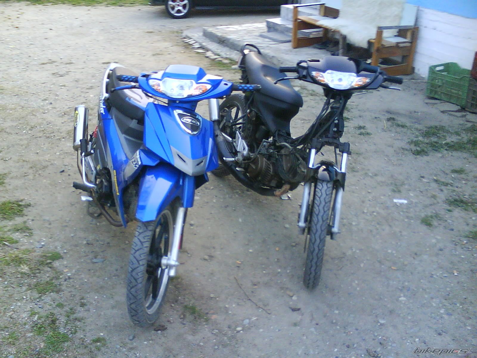 Photo 2311256