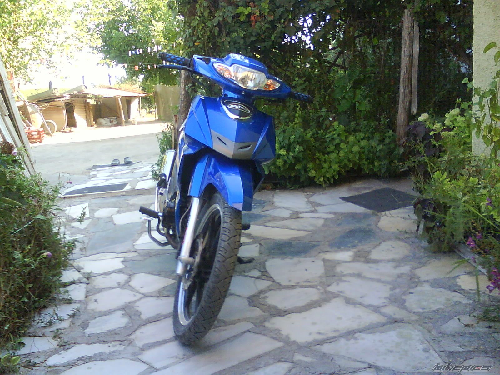 Photo 2311267