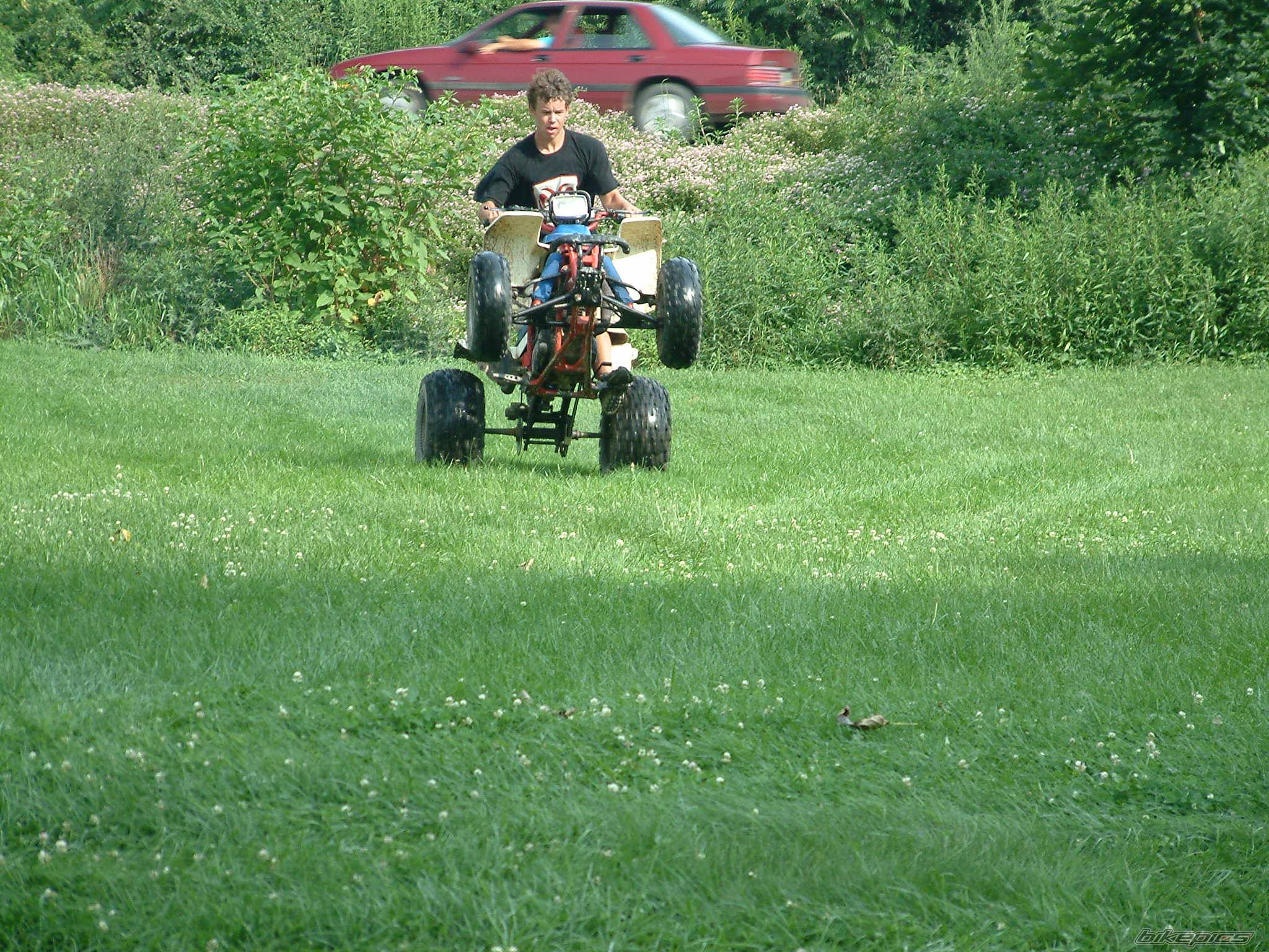 Bike Photo 231140