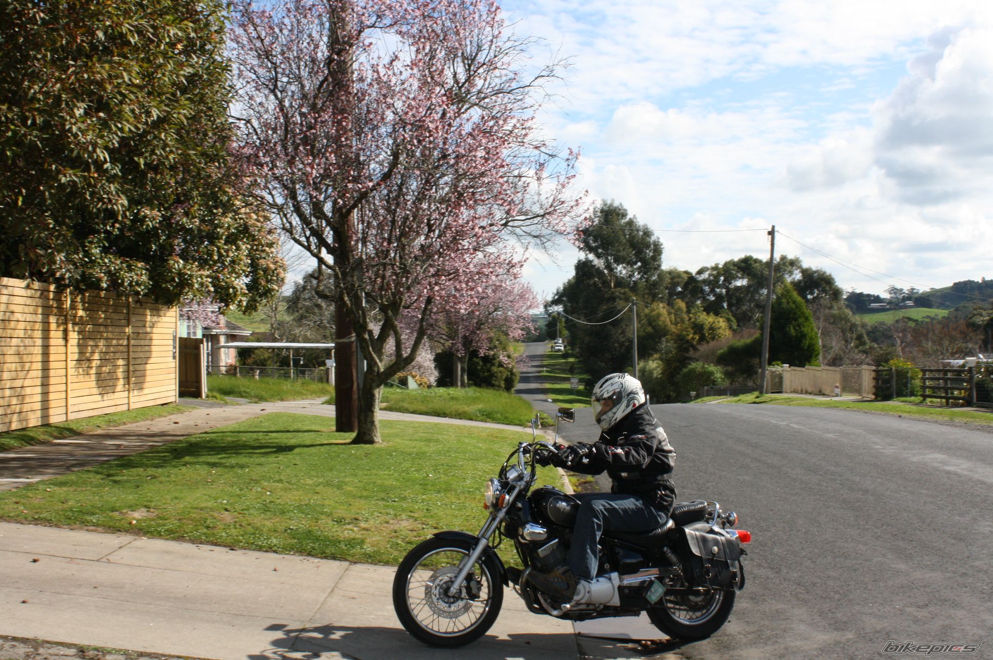 Photo 2311482
